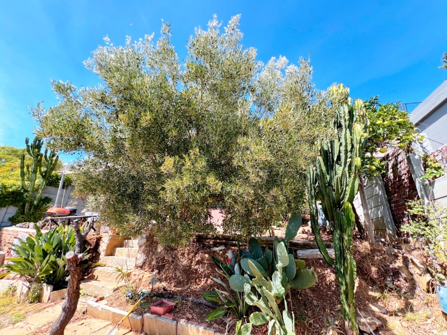 1 Bedroom Property for Sale in Green Point Western Cape